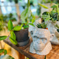 Ceramic Monkey Planter-available at Hidden Seed Plant Shop