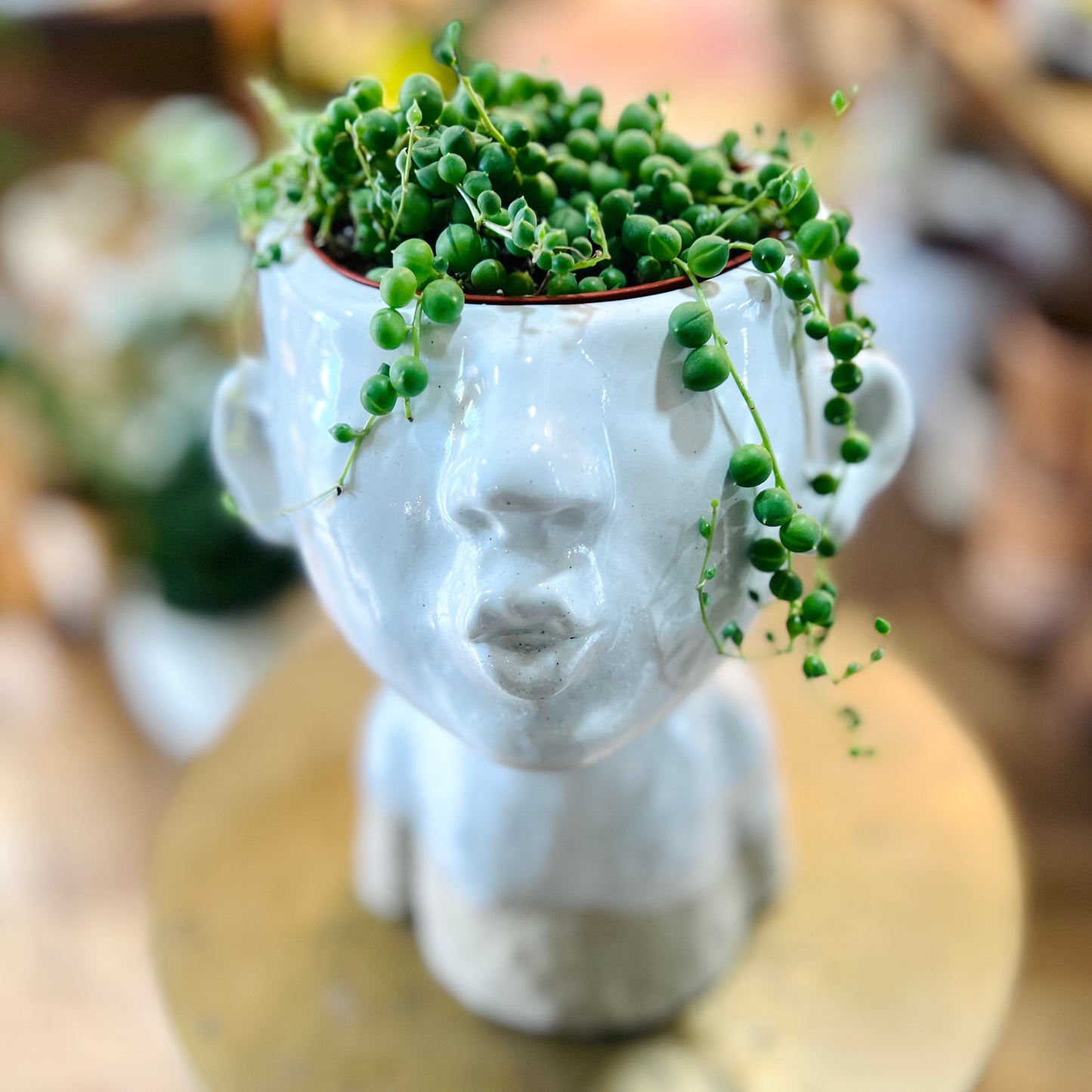 Smooch face cach planter with string of pearls