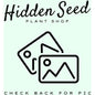 Hand Ring Holder-available at Hidden Seed Plant Shop