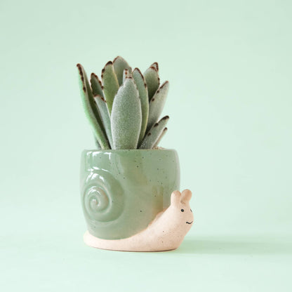 Snail Planter - Lagoon-available at Hidden Seed Plant Shop