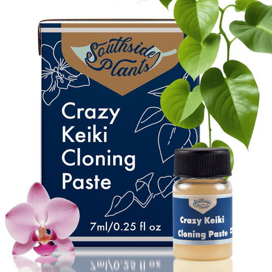 Crazy Keiki Cloning Paste